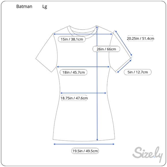 Batman Logo Teal Graphic Tee, Size Lg - Picture 6 of 6